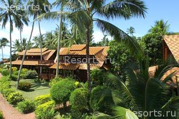Coconut Sands 7
